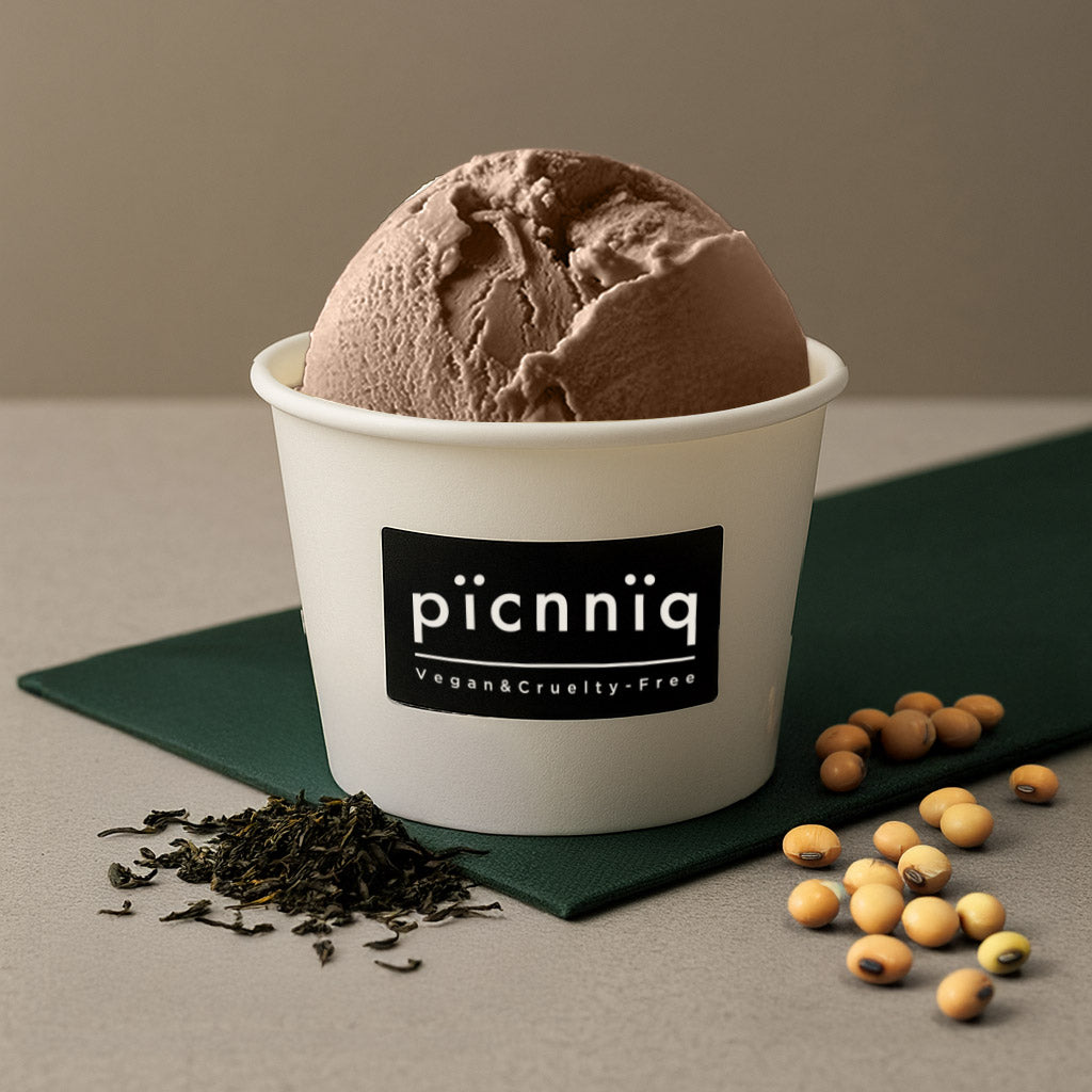 picnniq 班巴豆義式手工全植冰淇淋 100ml