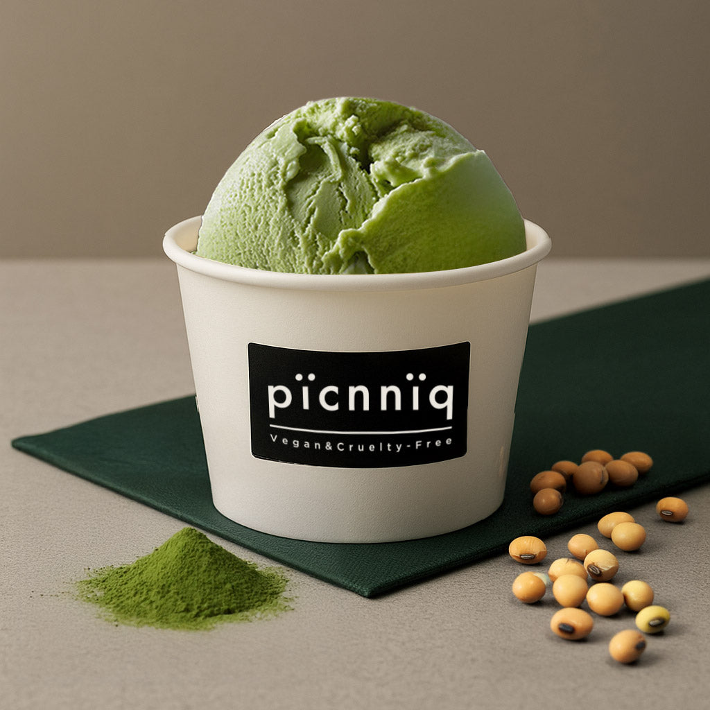 picnniq 班巴豆義式手工全植冰淇淋 100ml