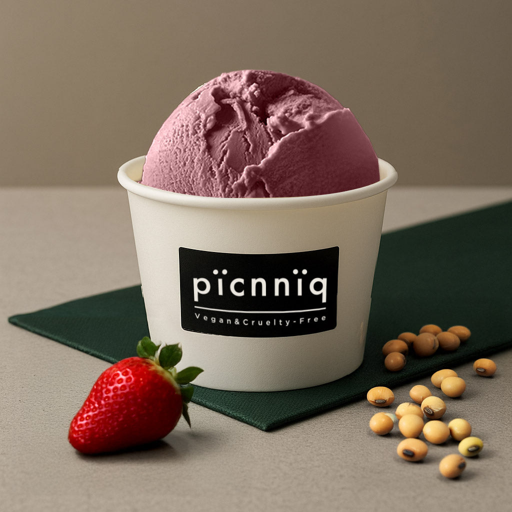 picnniq 班巴豆義式手工全植冰淇淋 100ml