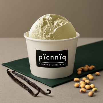 picnniq 班巴豆義式手工全植冰淇淋 100ml